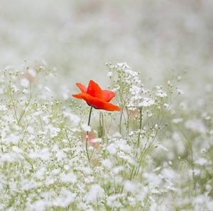 Meet your Posher, Hailey